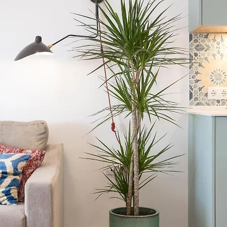 דירה Sol De Sanlucar Atico Centro Parking Incluido Sanlúcar de Barrameda